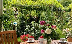 Guest House Gardenia & Wine Cellar